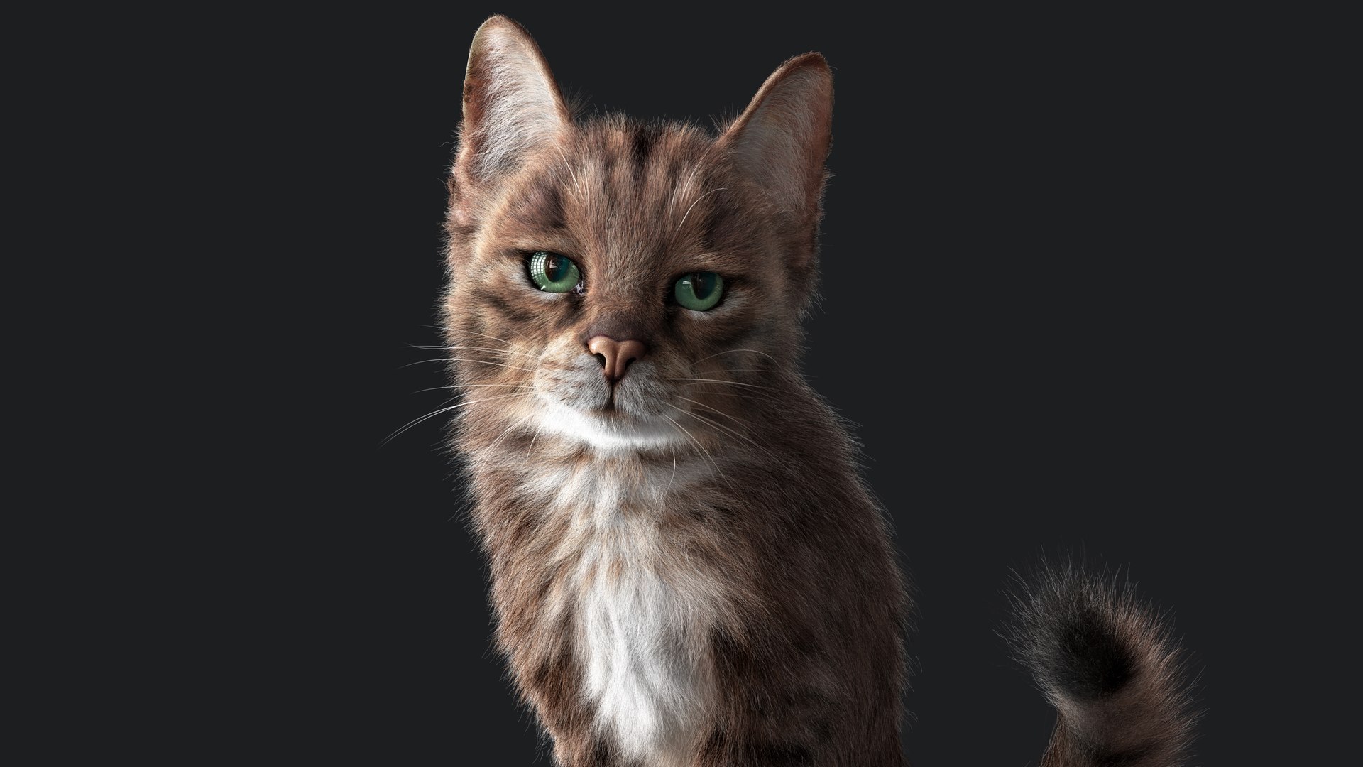 3D Cat Grey Tabby RIG - YETI version https://p.turbosquid.com/ts-thumb/n8/QJosua/pH/sit01b/jpg/1692591665/1920x1080/fit_q87/675ec15c2b58badaf6db84977775a9dd974e945f/sit01b.jpg