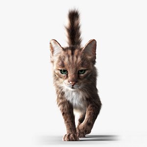 Cat Grey Tabby RIG - YETI version