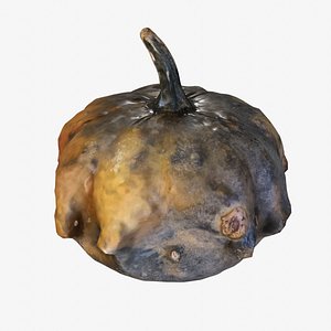Pumpkin Pockmarked model
