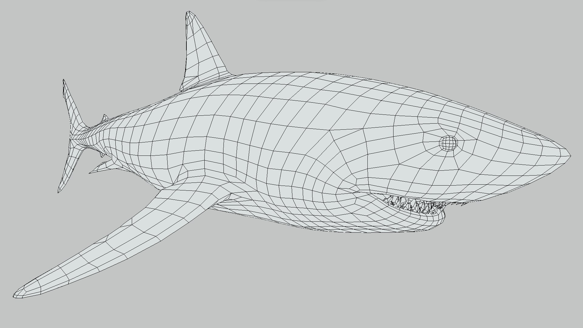 GreatWhiteSharkV1 3D model https://p.turbosquid.com/ts-thumb/n8/XuxMl7/T0/13/png/1694753677/1920x1080/fit_q87/892257275b7b57a8562783113fb40dbc0c01a663/13.jpg