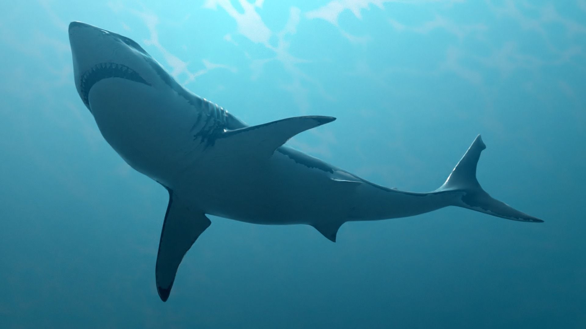 GreatWhiteSharkV1 3D model https://p.turbosquid.com/ts-thumb/n8/XuxMl7/Uj/3/jpg/1694753671/1920x1080/fit_q87/73181eff95c8bb0776bccf4a1d29c7132c6880f0/3.jpg