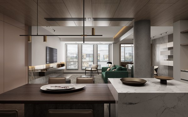3D Modern apartment - house living room - Kitchen model