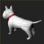 Bull terrier.max