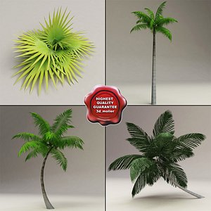 3d palms set modelled model