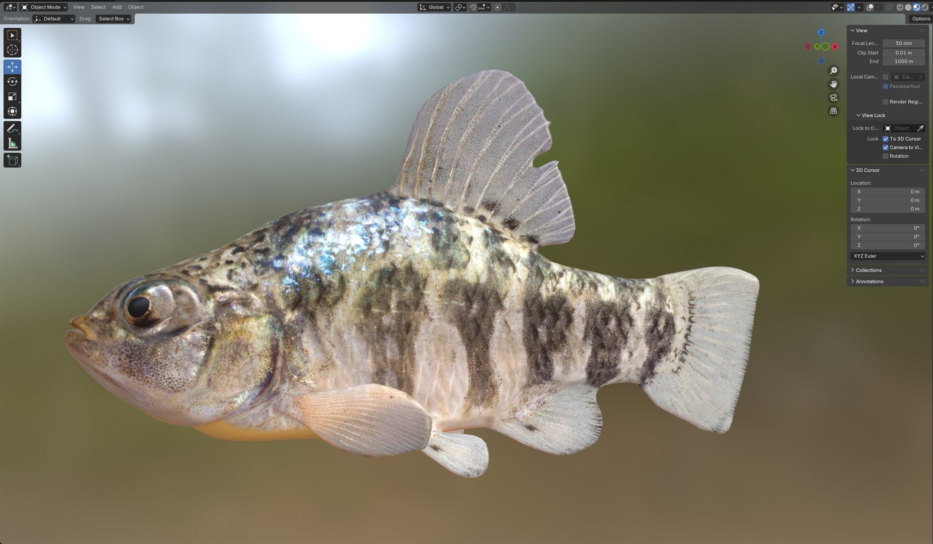Sheepshead Minnow fish model https://p.turbosquid.com/ts-thumb/n8/oQejaG/xB/6/jpg/1767973559/1920x1080/fit_q87/46374c71f1c84d69108b17b08581c927892134ca/6.jpg