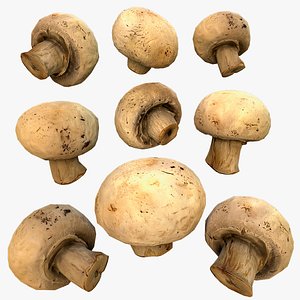 3D Champignon Mushrooms