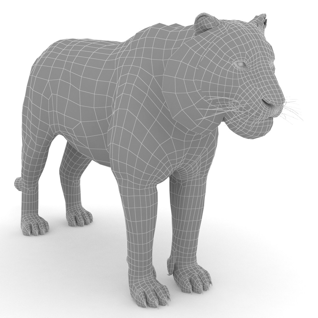 modèle 3D de tigre blanc - TurboSquid 1402396
