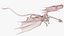 3D model Petrified Skeleton Dragon in Transparent Shell