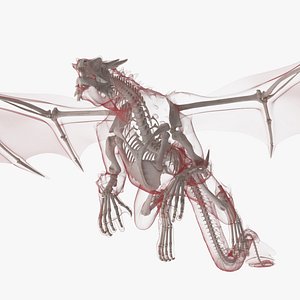 3D model Petrified Skeleton Dragon in Transparent Shell