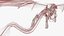 3D model Petrified Skeleton Dragon in Transparent Shell
