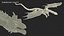 3D model Petrified Skeleton Dragon in Transparent Shell