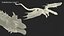 3D model Petrified Skeleton Dragon in Transparent Shell