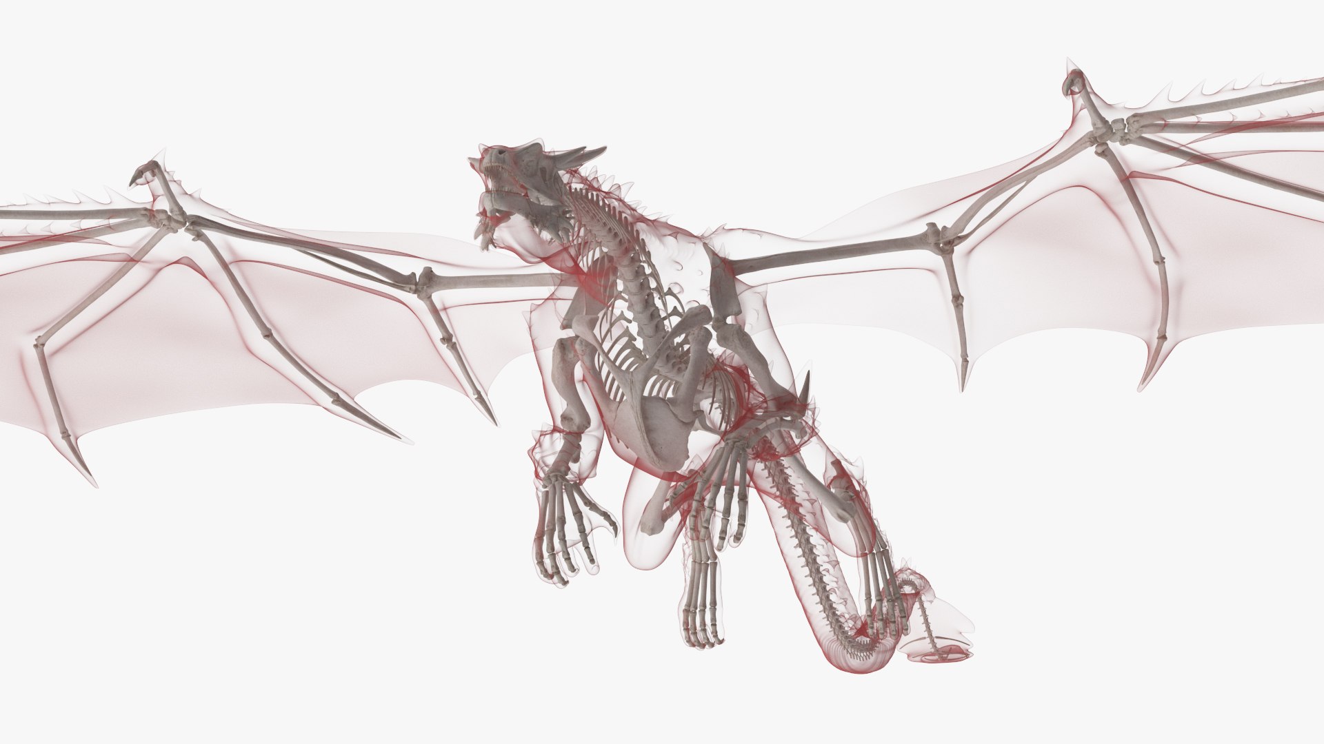 3D model Petrified Skeleton Dragon in Transparent Shell https://p.turbosquid.com/ts-thumb/n9/DHmSUE/ya/petrified_skeleton_dragon_in_transparent_shell_002/jpg/1743403522/1920x1080/fit_q87/176f4d53831dddc18b8e8139855256a5bdda48ec/petrified_skeleton_dragon_in_transparent_shell_002.jpg