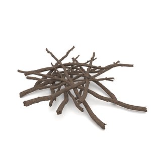 3d model of twigs 1