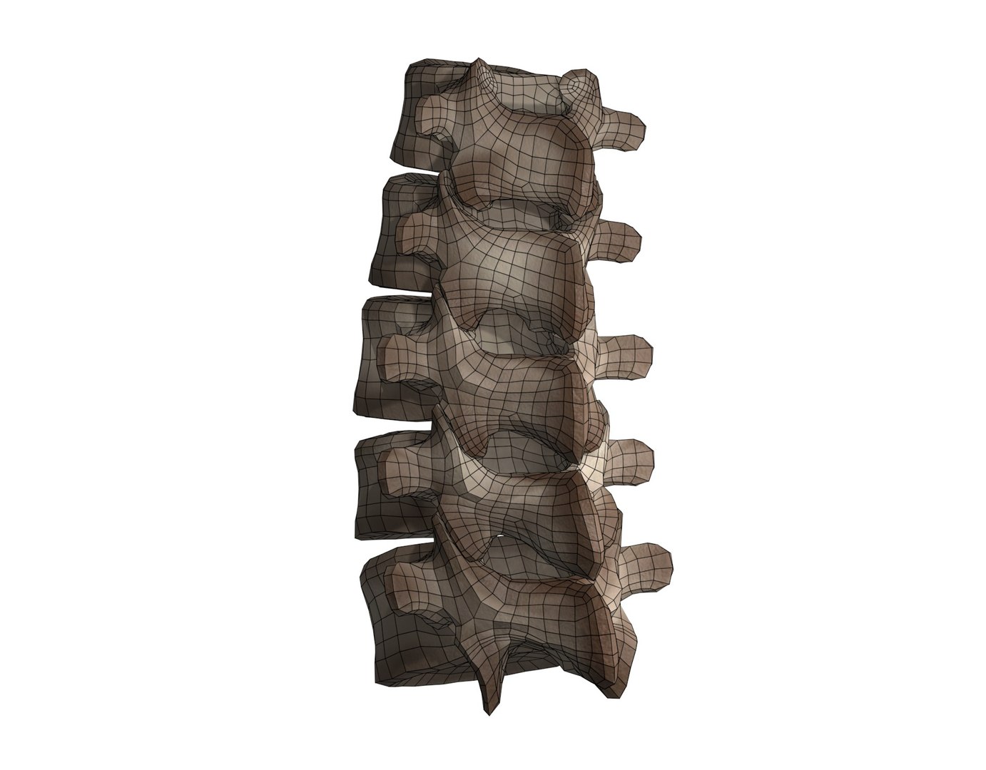 3D Lumbar Spine Model - TurboSquid 1786515