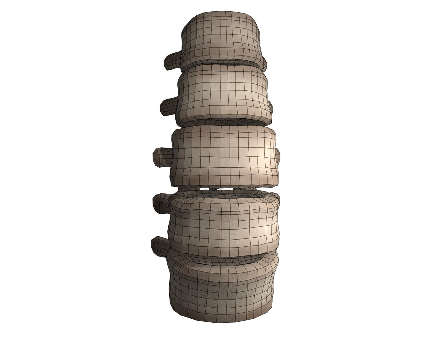 3D Lumbar Spine Model - TurboSquid 1786515