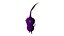 Purple Pikmin