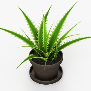aloe vera 3d max