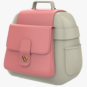 Cartoon Icon Bag