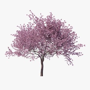 Sakura High Poly 05 3D model