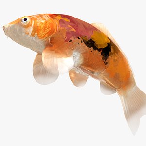 Japanese Carp Fish Rigged L1728 3D model