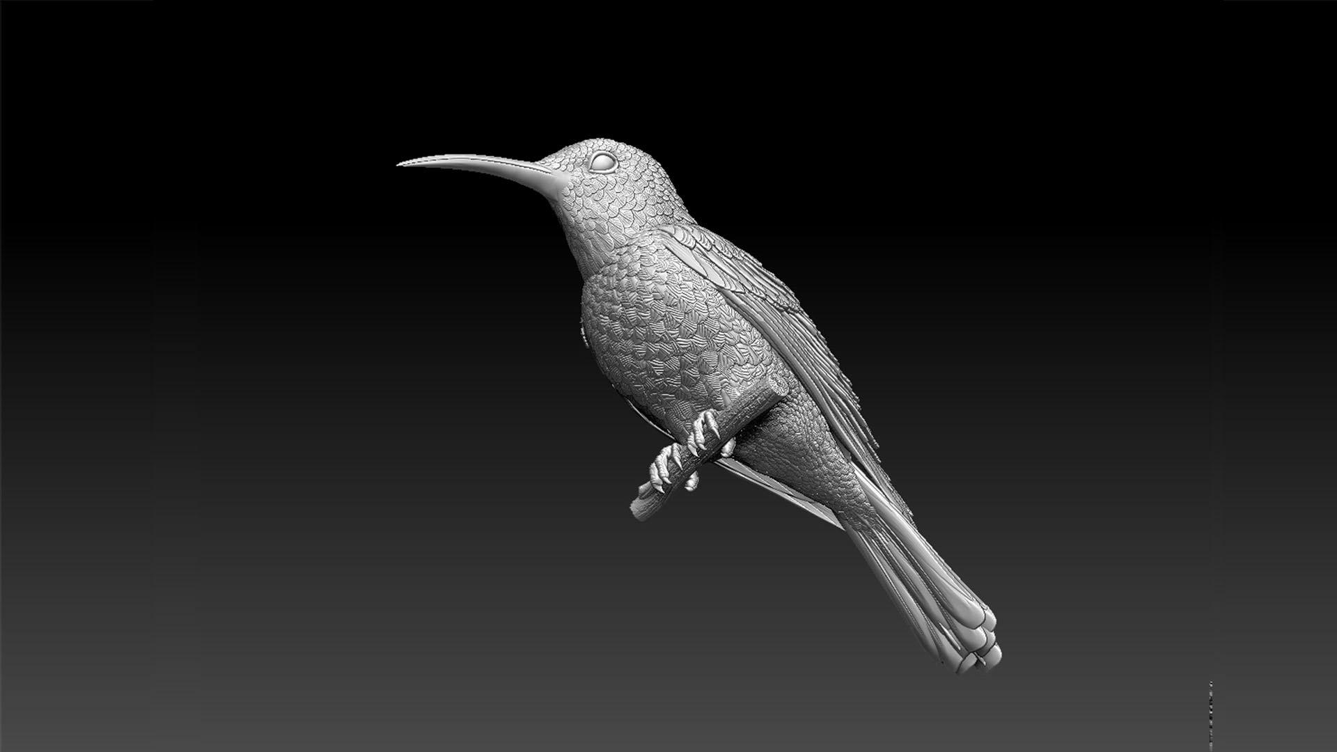 colibri humming bird 3D model https://p.turbosquid.com/ts-thumb/n9/cO5uxo/dr/2313/jpg/1663054433/1920x1080/fit_q87/fb8284f91397287af8c80e936d452ff93672321a/2313.jpg