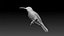 colibri humming bird