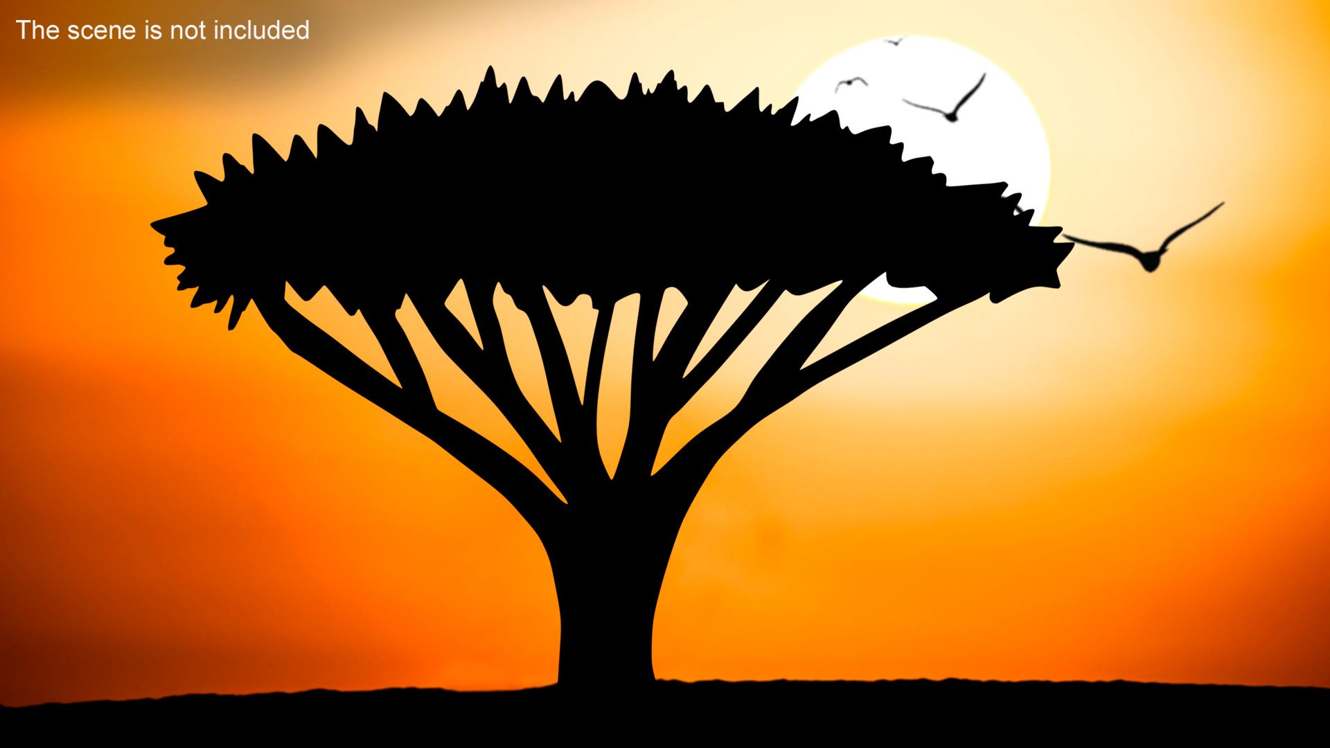 Acacia Tree Silhouette 3D model https://p.turbosquid.com/ts-thumb/n9/cRKHrW/sr/acaciatreesilhouettevray3dmodel002/jpg/1715047169/1920x1080/fit_q87/173d0043322dacc6dfc2bb8bba2242e7f02e5573/acaciatreesilhouettevray3dmodel002.jpg