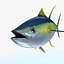 3d tuna fish