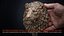 Lion Head Sculpture Proud Animal 3D