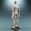 Male Mannequin V3