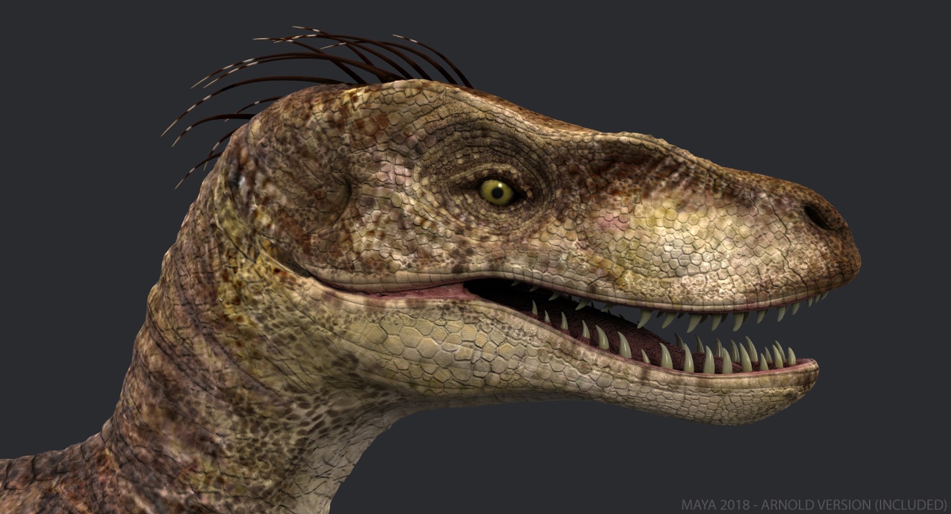 3ds Max Raptor T