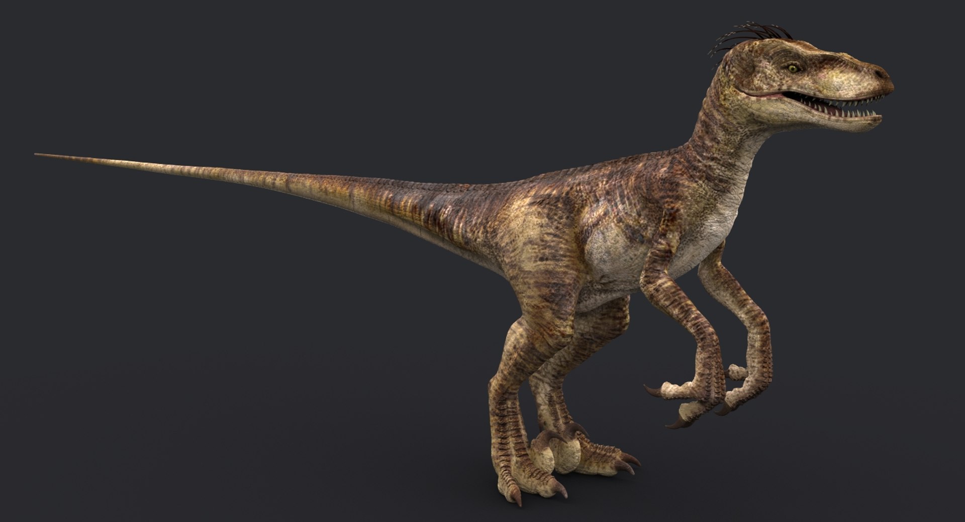3ds max raptor t