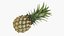 Pineapple Collection 3