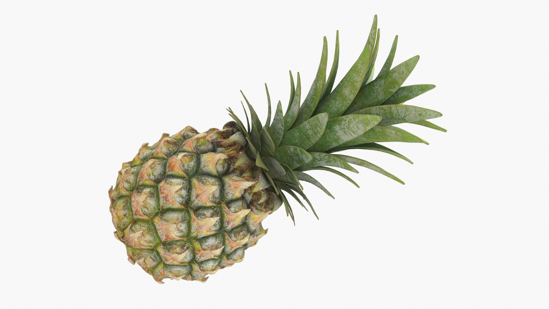 Pineapple Collection 3 3D https://p.turbosquid.com/ts-thumb/n9/yp2Yqr/J9/pineapplepw/jpg/1687445534/1920x1080/turn_fit_q99/47c80e250f6d5d3e89c657c13b6843ef7e4f6c9e/pineapplepw-1.jpg