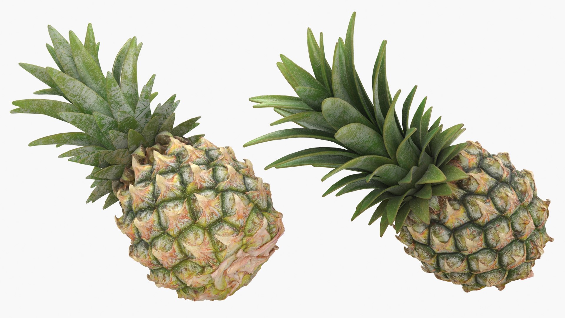 Pineapple Collection 3 3D https://p.turbosquid.com/ts-thumb/n9/yp2Yqr/X0/pineapplepw_a0002/jpg/1687445515/1920x1080/fit_q87/85bf4309d5c9ad3fd5b89409bff8f9bea9fba181/pineapplepw_a0002.jpg
