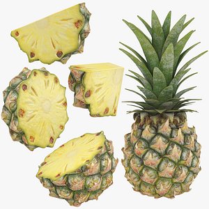 Pineapple Collection 3 3D