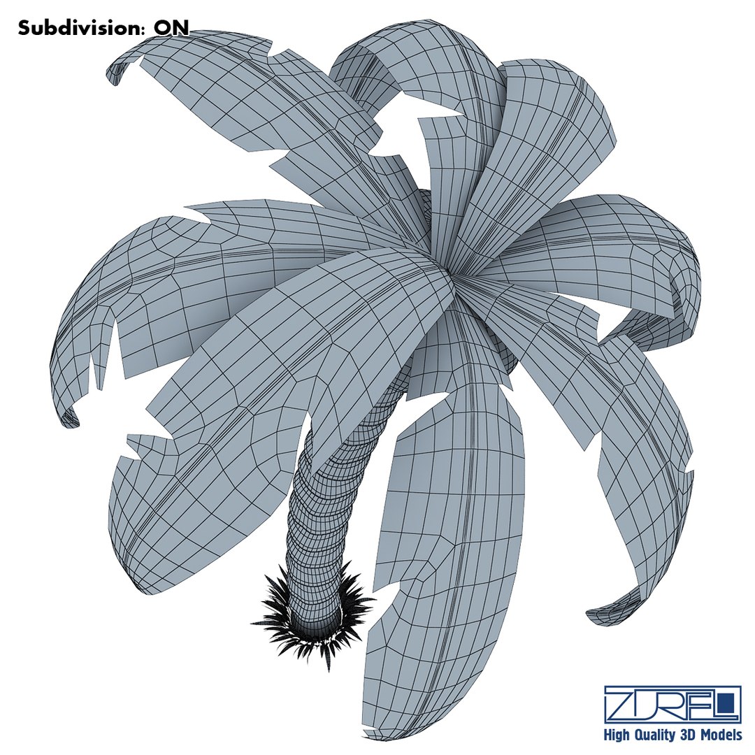 3d palm tree https://p.turbosquid.com/ts-thumb/nA/2WnL76/ZdiBVBdA/palm_tree_wireframe_0002/jpg/1387589295/1920x1080/fit_q87/4ba921ab8e7eee7aa9e227388a7d60db73fba37b/palm_tree_wireframe_0002.jpg