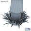Palm tree
