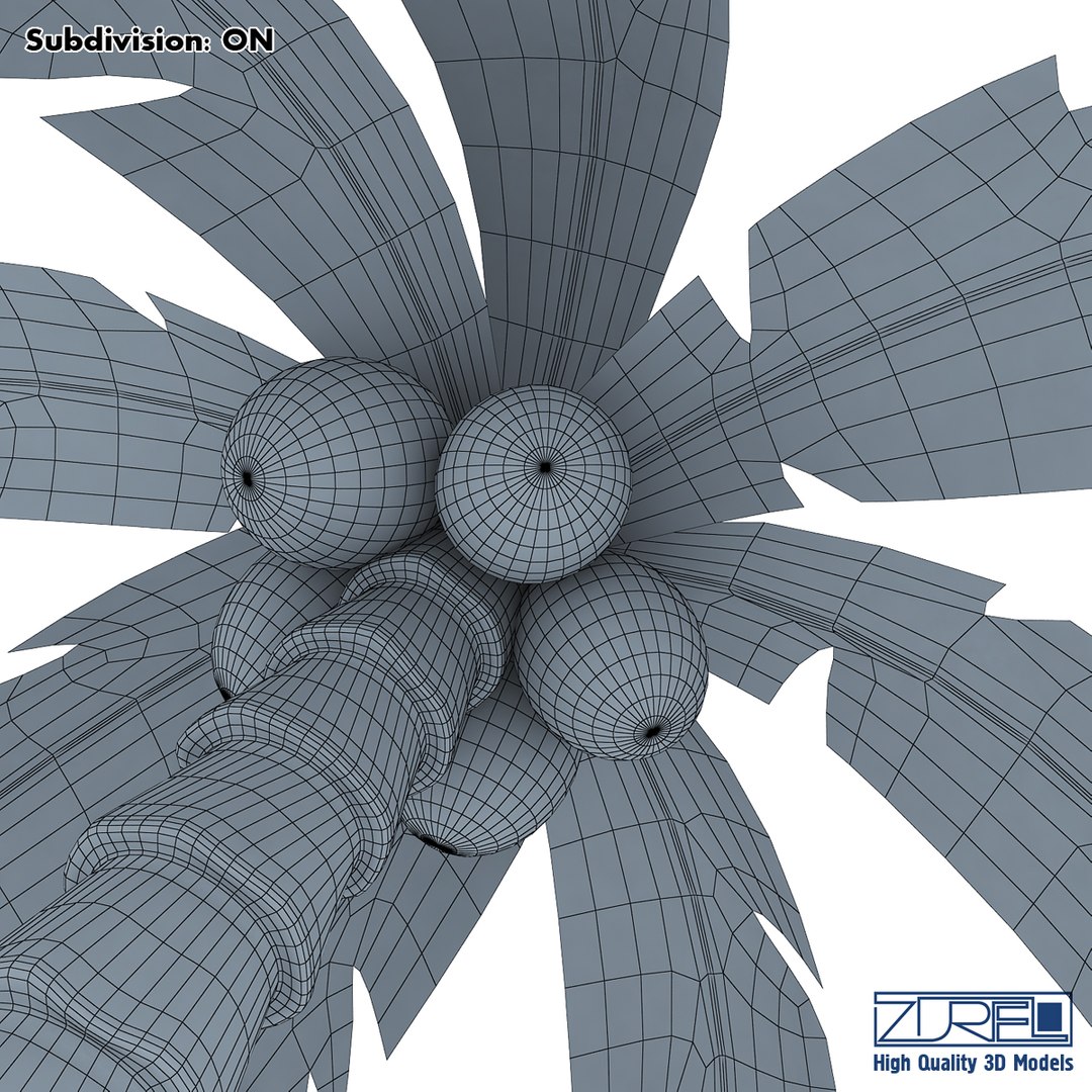 3d palm tree https://p.turbosquid.com/ts-thumb/nA/2WnL76/oY1HEDli/palm_tree_wireframe_0004/jpg/1387589295/1920x1080/fit_q87/e5555bdf281b0eb34d7113bf528b22b39b258a3d/palm_tree_wireframe_0004.jpg