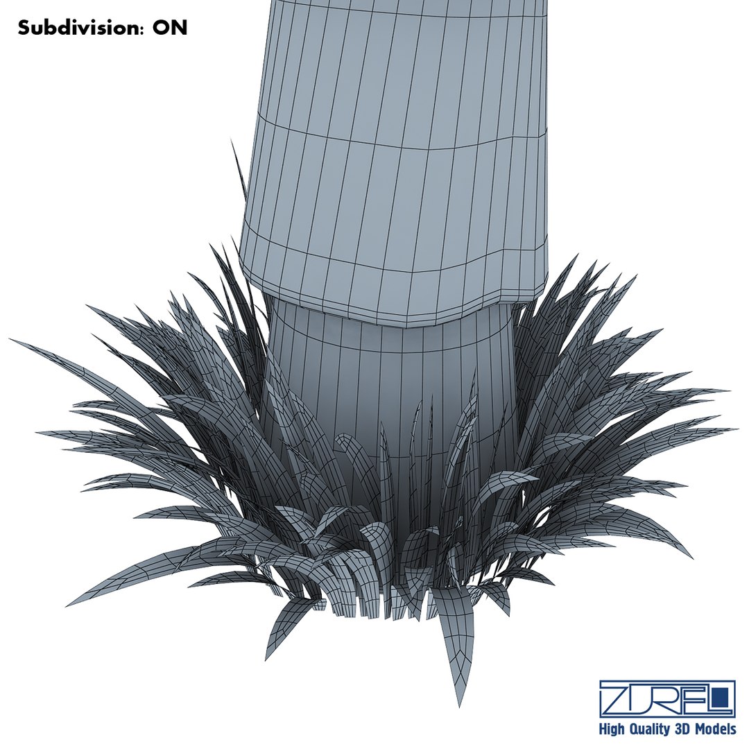 3d palm tree https://p.turbosquid.com/ts-thumb/nA/2WnL76/t3CvhDYM/palm_tree_wireframe_0006/jpg/1387589295/1920x1080/fit_q87/f814ef222437c43858d002dc827827f04e0fcd0e/palm_tree_wireframe_0006.jpg