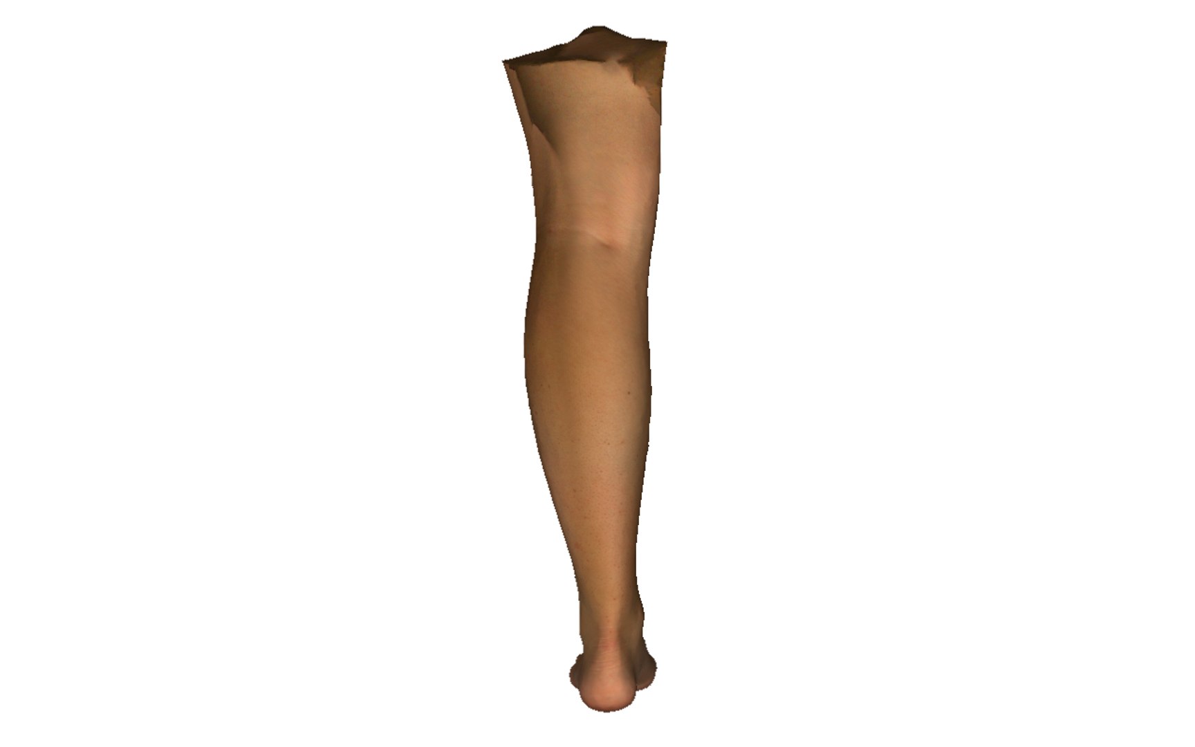 3D leg - TurboSquid 1604799