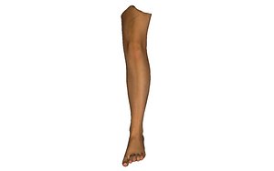 3D leg