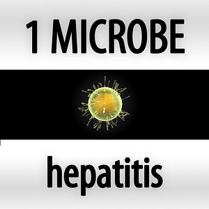 microbes micro organisms 3d model