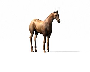 3d horse