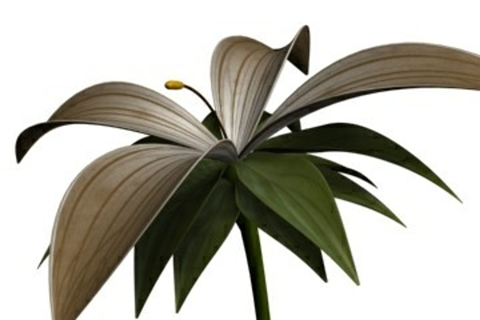 Realistic Flower Animation Open 3ds