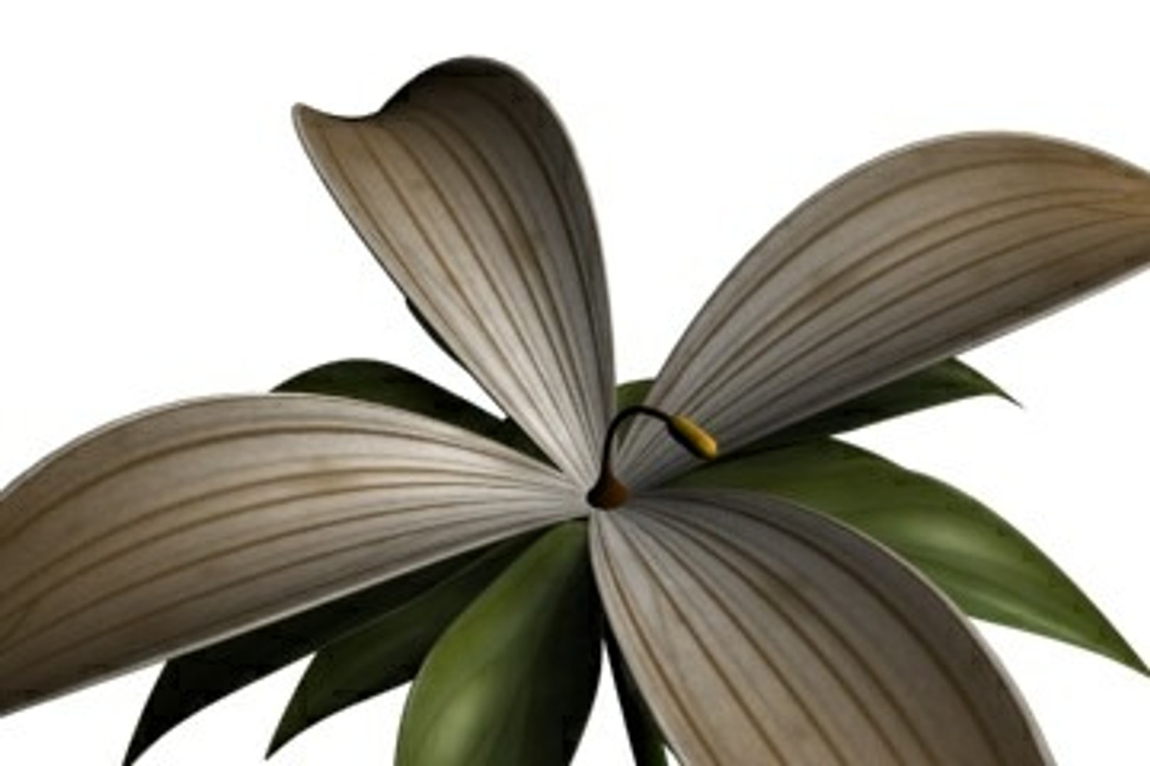 Realistic Flower Animation Open 3ds