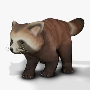 3D Animated red panda model
