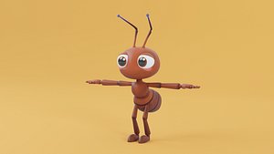 3D Ants Models