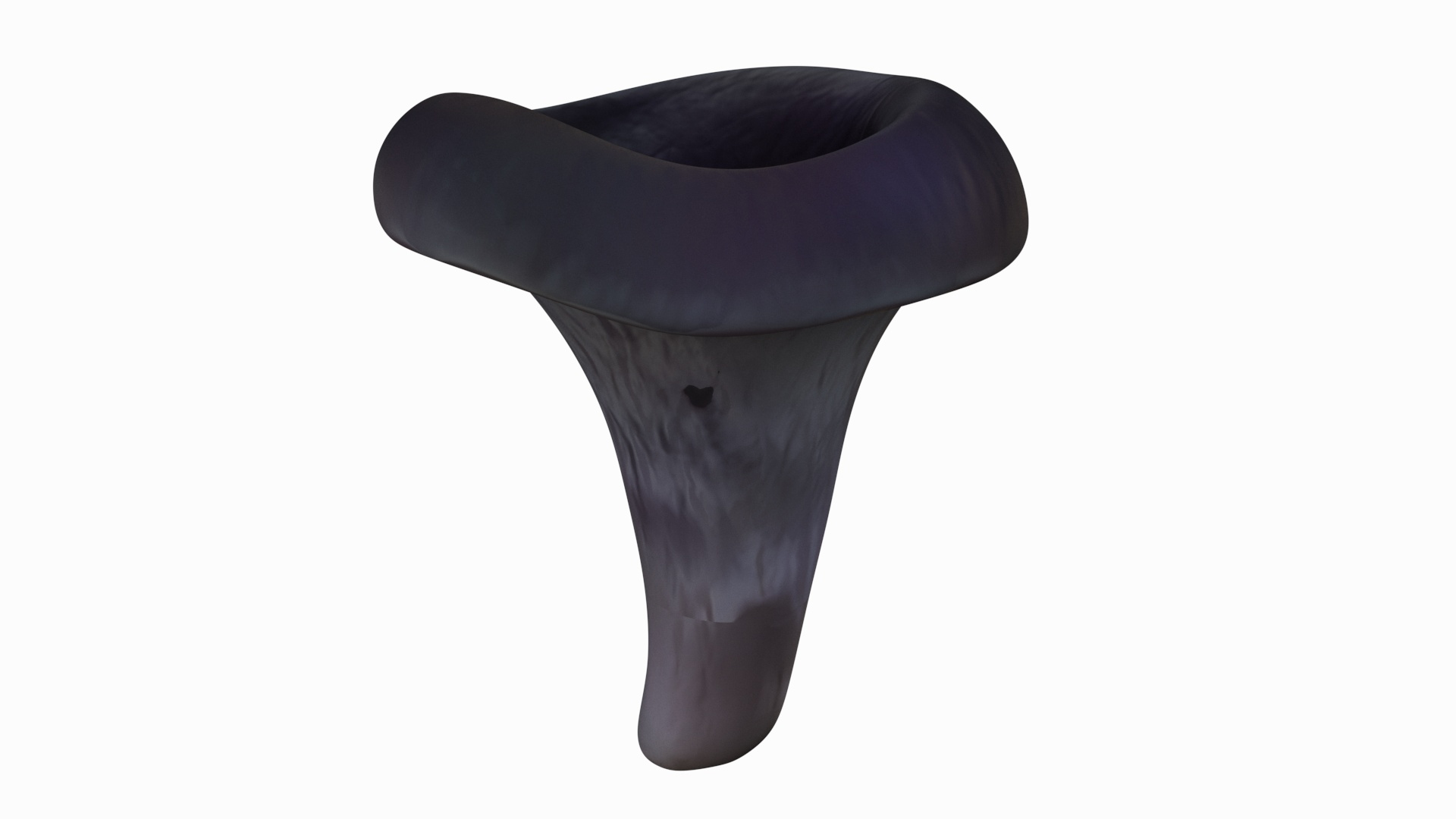 Black Trumpet 3D Model TurboSquid 1957305